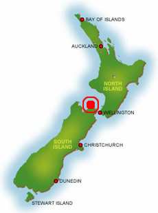 Forsyth Island on the map of New Zealand